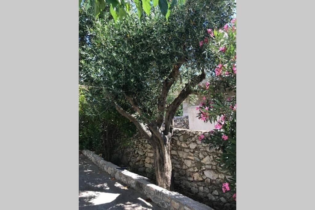 Traditional Stone House In Eastern Mani Flomochori Exterior foto